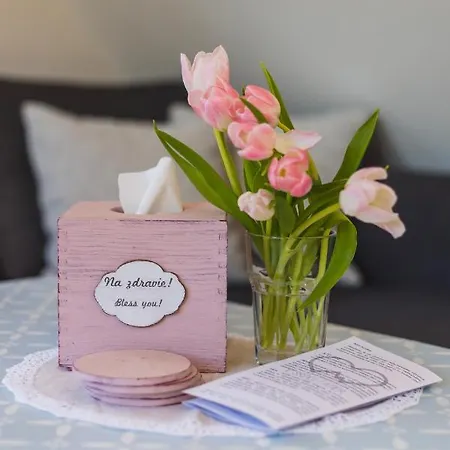 Lesy A Luky - V Srdci Tatier * Vysoké Tatry