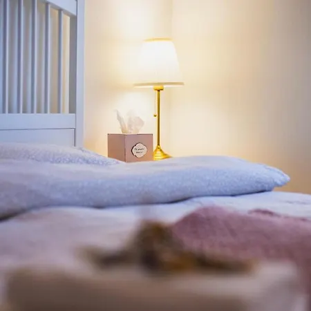 Lesy A Luky - V Srdci Tatier * Vysoké Tatry