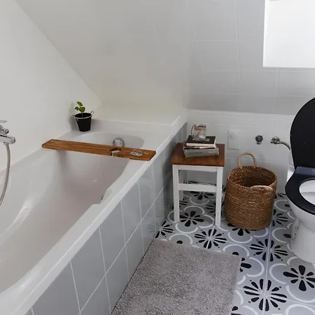 Lesy A Luky - V Srdci Tatier *