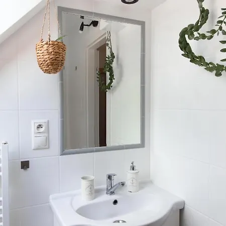 Lesy A Luky - V Srdci Tatier Vysoké Tatry