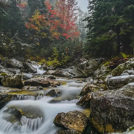 Lesy A Luky - V Srdci Tatier Appartement *