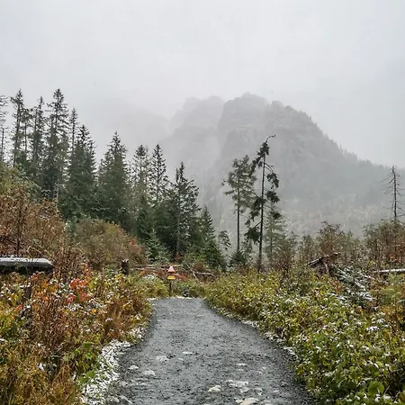 Lesy A Luky - V Srdci Tatier Appartement Vysoké Tatry