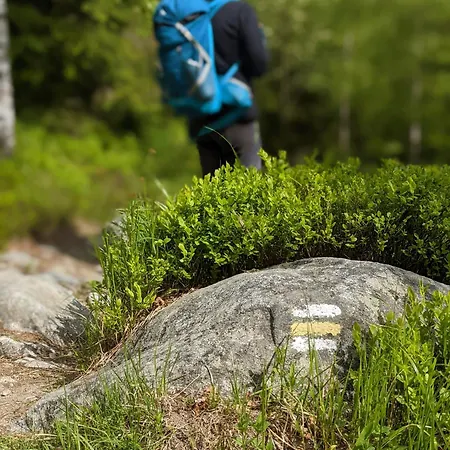 Lesy A Luky - V Srdci Tatier *